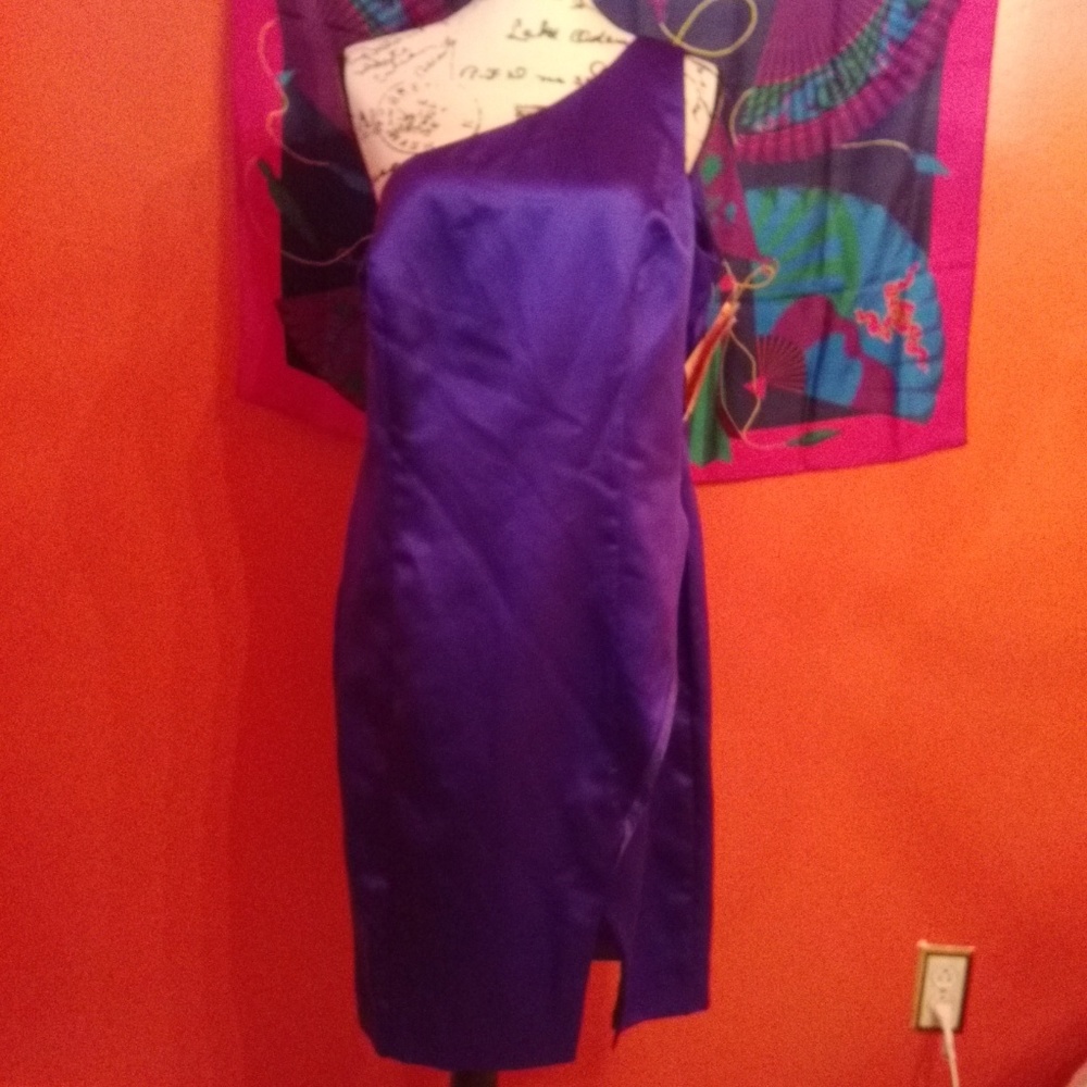 NWTCollection dress